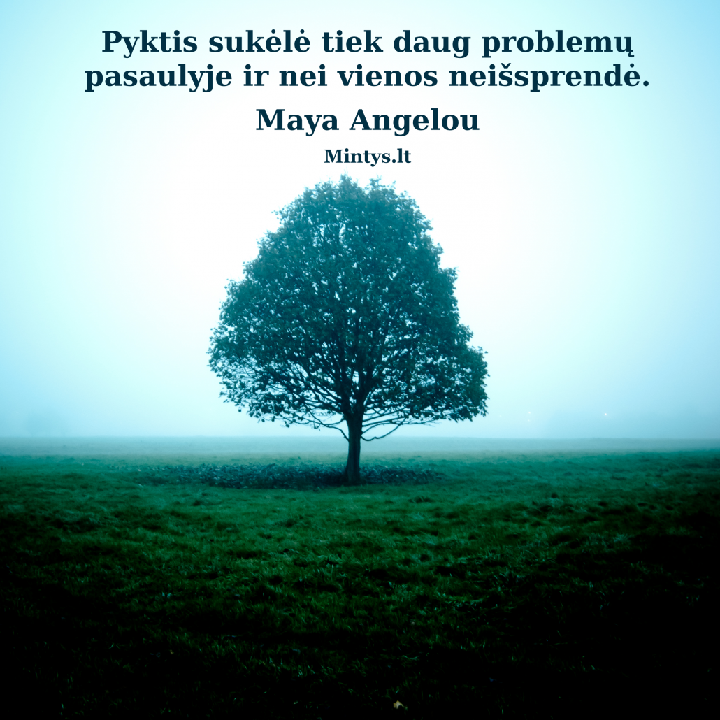 Pyktis neišprendžia problemų.